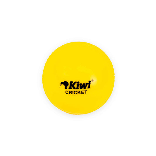 Junior Cricket Ball