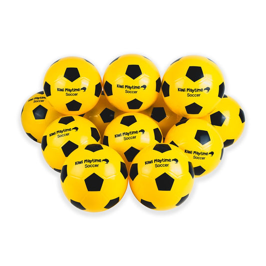 Soccer Training Pack – Value (12 Balls + Carry Bag) – Silver Fern