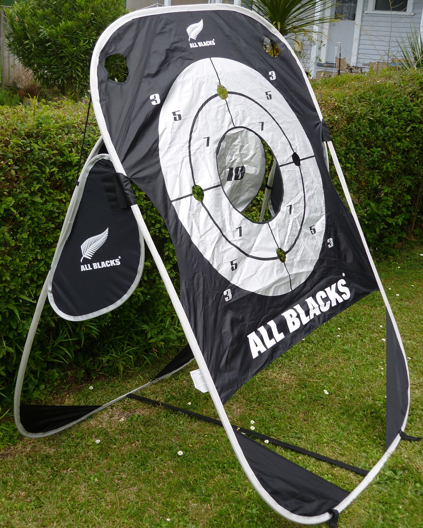 Summit All Blacks Passing Target