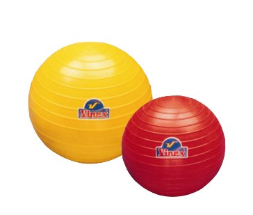 Vinex PVC Shot Put - 500gm