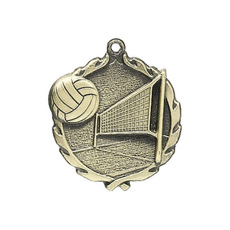 3D Medal Volleyball