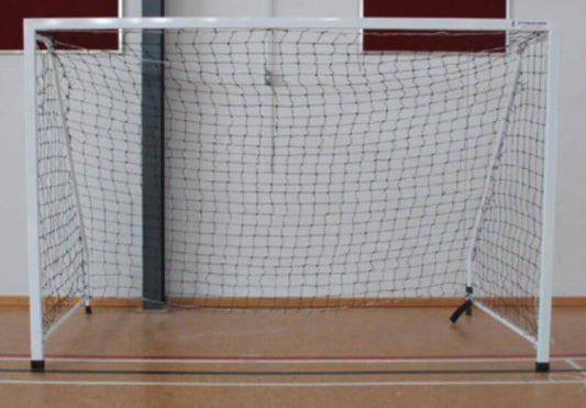 Indoor Soccer GoalResize.jpg