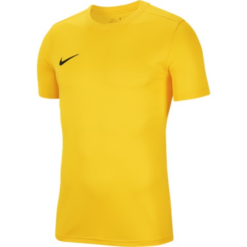 Nike Youth Park VII Jersey