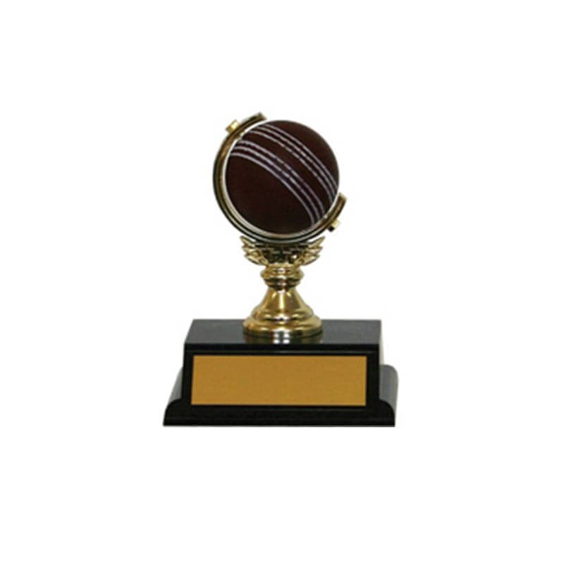 Soft Spinning Trophy Cricket