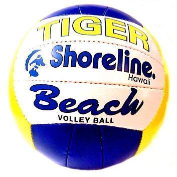 Tiger Shoreline Volleyball