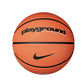 Nike Playground Everyday Basketball