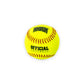 Chrome Leather Softball - SBS12C