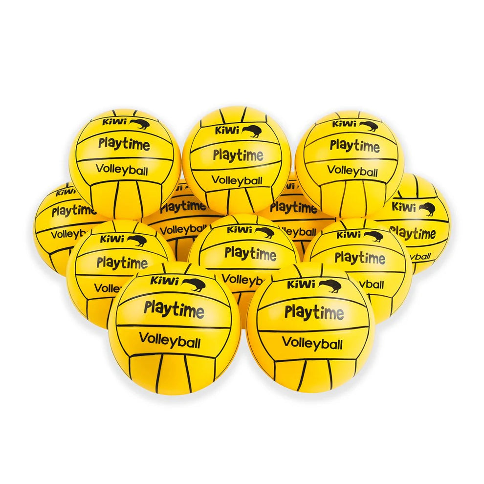 Volleyball Training Pack – Value (12 Balls + Carry Bag) – Silver Fern