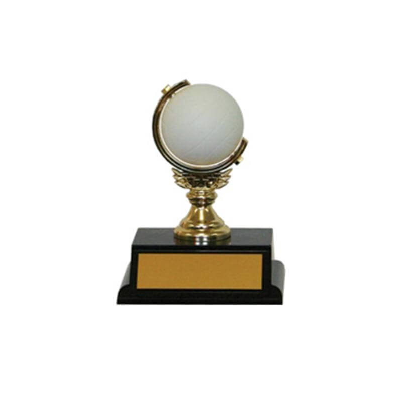 Soft Spinning Trophy Netball